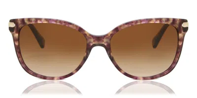 Coach Hc8132 L109 528713 Occhiali Da Sole Marroni Per Donna In Brown