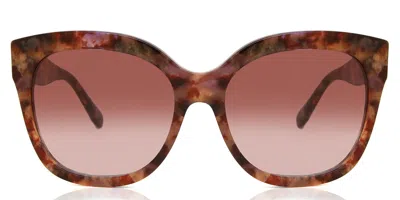 Coach Hc8264 L1083 57398h Women's Sunglasses Tortoiseshell Size 56 In Brown