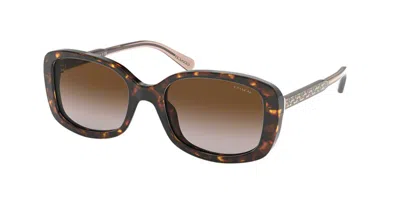 Coach Hc8278 L1114 512013 Occhiali Da Sole Tartarugatishell Per Donna In Brown