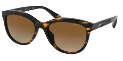 Coach Hc8285u L1137 Polarized 5120t5 Occhiali Da Sole Tartarugatishell Per Donna In Brown