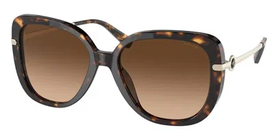 Coach Hc8320 C6180 512074 Occhiali Da Sole Tartarugatishell Per Donna In Brown