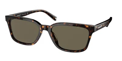 Coach Hc8328u C6196 512003 Occhiali Da Sole Tartarugatishell Per Uomo In Brown