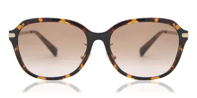 Coach Hc8332d C6199 Asian Fit 512013 Women's Sunglasses Tortoiseshell Size 56 In Multi