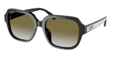 Coach Hc8335u C7989 50027z Women's Sunglasses Black Size 53