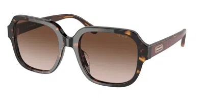 Coach Hc8335u C7989 512013 Women's Sunglasses Tortoiseshell Size 53 In Brown