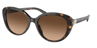 Coach Hc8348u Cd479 512074 Women's Sunglasses Tortoiseshell Size 56 In Black