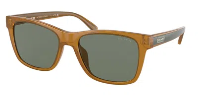 Coach Hc8359u Cd455 52513h Men's Sunglasses Brown Size 56