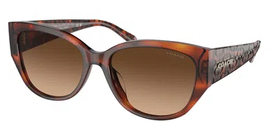 Coach Hc8362u Ch563 Asian Fit 574174 Women's Sunglasses Tortoiseshell Size 57 In Brown
