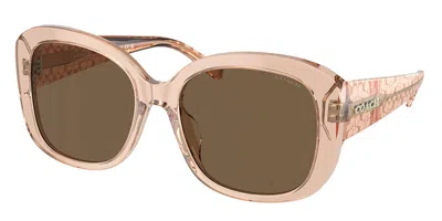 Coach Hc8363u Ch564 Asian Fit 556173 Women's Sunglasses Brown Size 56 In Pink