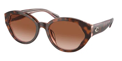 Coach Hc8364u Ch569 Asian Fit 574413 Women's Sunglasses Tortoiseshell Size 55