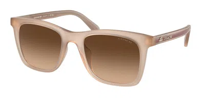 Coach Hc8374f Ck463 Asian Fit 574774 Women's Sunglasses Brown Size 54 In Neutral