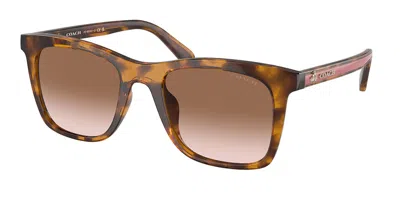 Coach Hc8374u Ch561 512013 Women's Sunglasses Tortoiseshell Size 51 In Brown