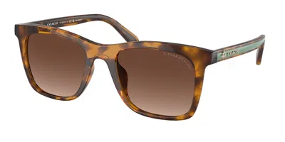 Coach Hc8374u Ch561 Asian Fit Polarized 5120t5 Women's Sunglasses Tortoiseshell Size 51 In Brown