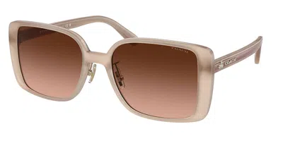 Coach Hc8375 Ch562 Asian Fit 57475m Women's Sunglasses Brown Size 56