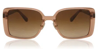 Coach Hc8375 Ch562 Asian Fit 574974 Women's Sunglasses Brown Size 56