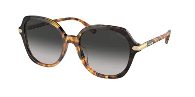 Coach Hc8377u Cl925 577613 Women's Sunglasses Tortoiseshell Size 55 In Multi