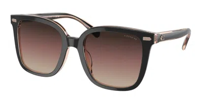 Coach Hc8381f Cl919 Asian Fit 5781e2 Women's Sunglasses Black Size 56 In Brown