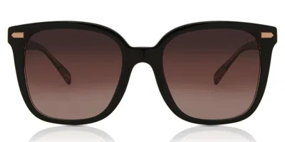 Coach Hc8381u Cl918 5781e2 Women's Sunglasses Clear Size 54 In Brown