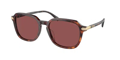 Coach Hc8383u Cl912 579875 Men's Sunglasses Tortoiseshell Size 55 In Brown