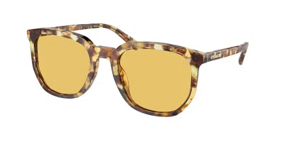 Coach Hc8384u Cl911 504585 Men's Sunglasses Tortoiseshell Size 55 In Pink
