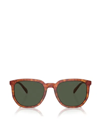 Coach Hc8384u Cl911 In Brown