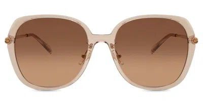 Coach Hc8403d Cr636 Asian Fit 570513 Women's Sunglasses Pink Size 59 In Brown