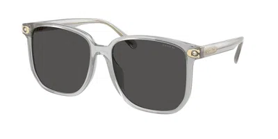 Coach Hc8413bd Cw419 Asian Fit 561487 Women's Sunglasses Grey Size 58 In Gray