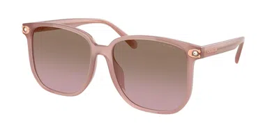Coach Hc8413bd Cw419 Asian Fit 583914 Women's Sunglasses Pink Size 58