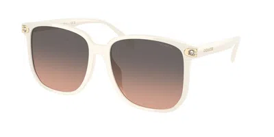Coach Hc8413bd Cw419 Asian Fit 5853g9 Women's Sunglasses White Size 58