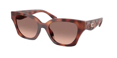 Coach Hc8418u Cad18 577413 Women's Sunglasses Tortoiseshell Size 53