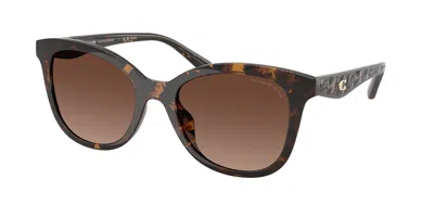Coach Hc8419u Cad25 Polarized 5120t5 Women's Sunglasses Tortoiseshell Size 55 In Brown