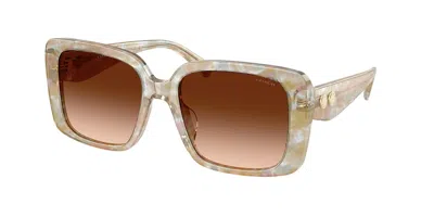 Coach Hc8424f Cad55 Asian Fit 586874 Women's Sunglasses Brown Size 56