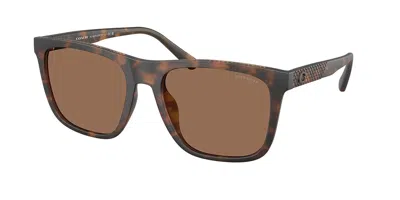 Coach Hc8427u Cae78 512073 Men's Sunglasses Tortoiseshell Size 57 In Neutral