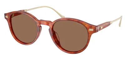 Coach Hc8428u Cad83 577473 Occhiali Da Sole Tartarugatishell Per Uomo In Red
