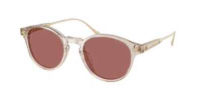 Coach Hc8428u Cad83 58790h Men's Sunglasses Brown Size 50