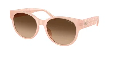 Coach Hc8430d Cae87 Asian Fit 511374 Women's Sunglasses Pink Size 56 In Brown