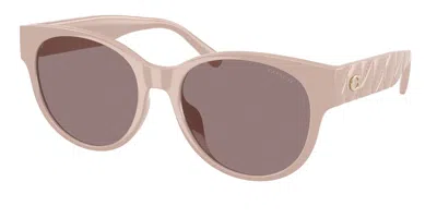Coach Hc8430d Cae87 Asian Fit 59507n Women's Sunglasses Pink Size 56
