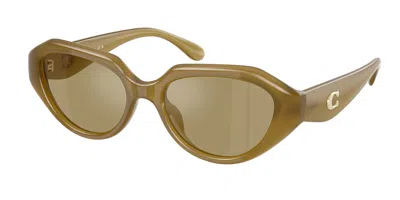 Coach Hc8433u Cby77 590230 Women's Sunglasses Green Size 52