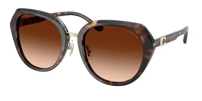 Coach Hc8436 Cby93 512074 Women's Sunglasses Tortoiseshell Size 55 In Brown