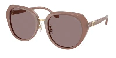 Coach Hc8436 Cby93 54957n Women's Sunglasses Brown Size 55