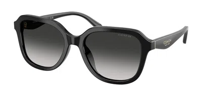 Coach Hc8437f Cby89 Asian Fit 50023c Women's Sunglasses Black Size 56