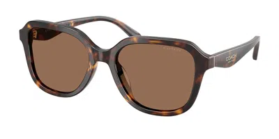 Coach Hc8437f Cby89 Asian Fit 512073 Women's Sunglasses Tortoiseshell Size 56 In Brown