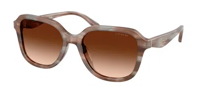 Coach Hc8437f Cby89 Asian Fit 590174 Women's Sunglasses Brown Size 56