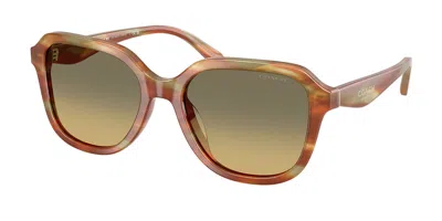 Coach Hc8437u Cby87 5898l0 Women's Sunglasses Brown Size 53