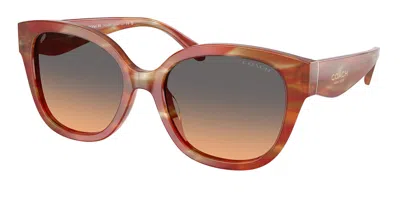 Coach Hc8438u Cby94 590018 Women's Sunglasses Brown Size 56