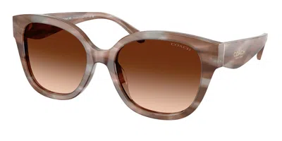 Coach Hc8438u Cby94 590174 Women's Sunglasses Brown Size 56