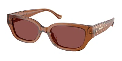 Coach Hc8439u Cbz52 581175 Women's Sunglasses Brown Size 53