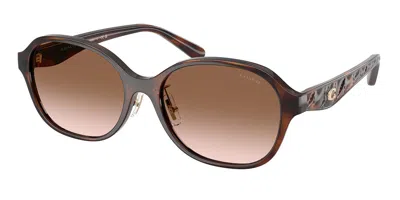 Coach Hc8445d Cby85 Asian Fit 512013 Women's Sunglasses Tortoiseshell Size 56 In Brown