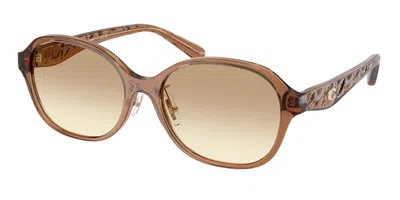 Coach Hc8445d Cby85 Asian Fit 565413 Women's Sunglasses Brown Size 56