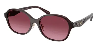 Coach Hc8445d Cby85 Asian Fit 59158h Women's Sunglasses Red Size 56